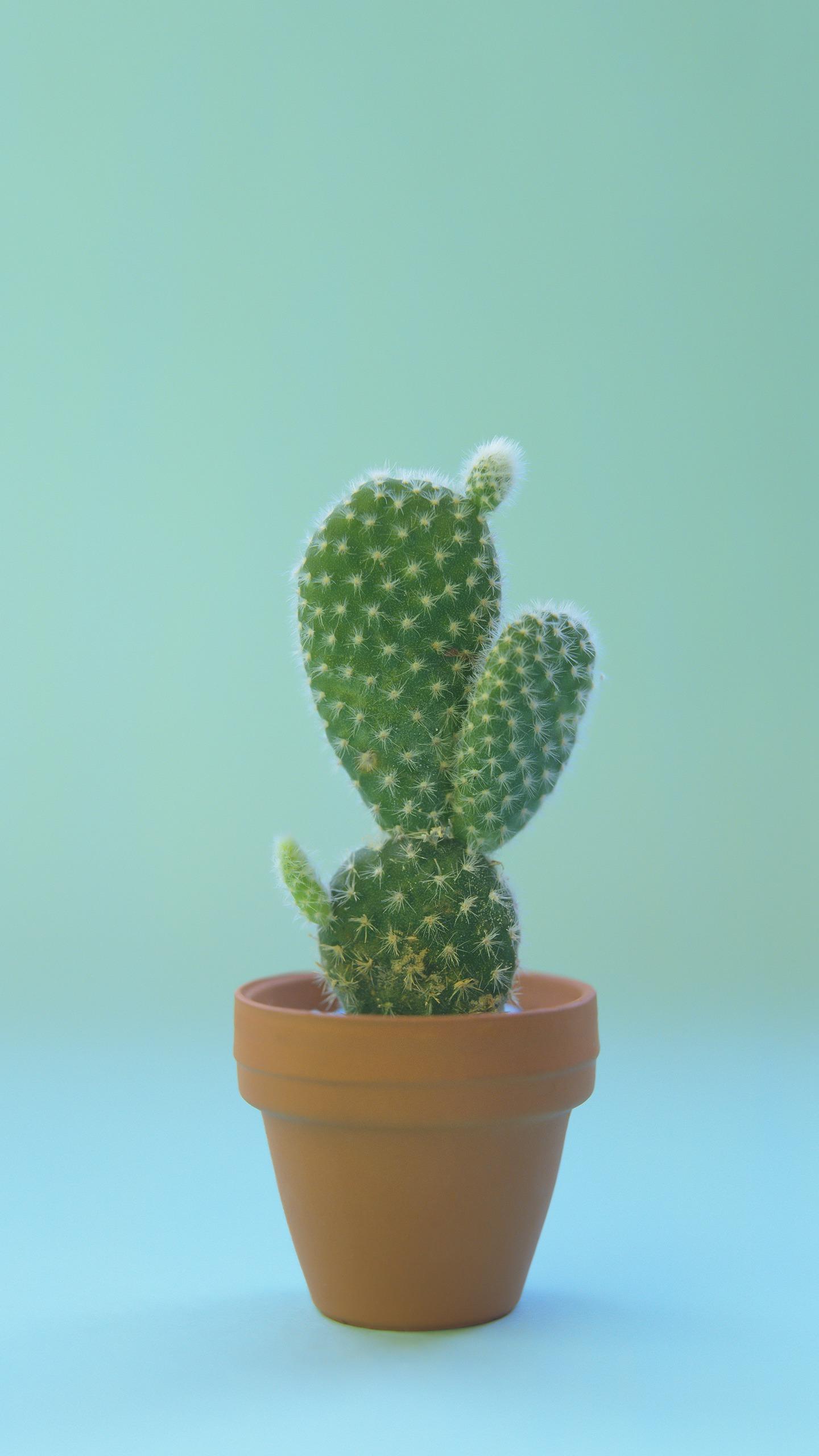 瞎子算命全集,淮剧瞎子算命