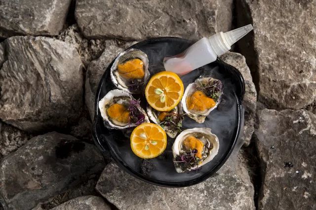 stay旅行者,stay旅行