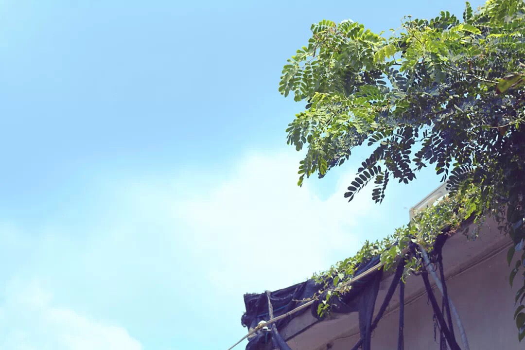 这个夏天总要来一趟厦门吧,这个夏天一定要去一次厦门