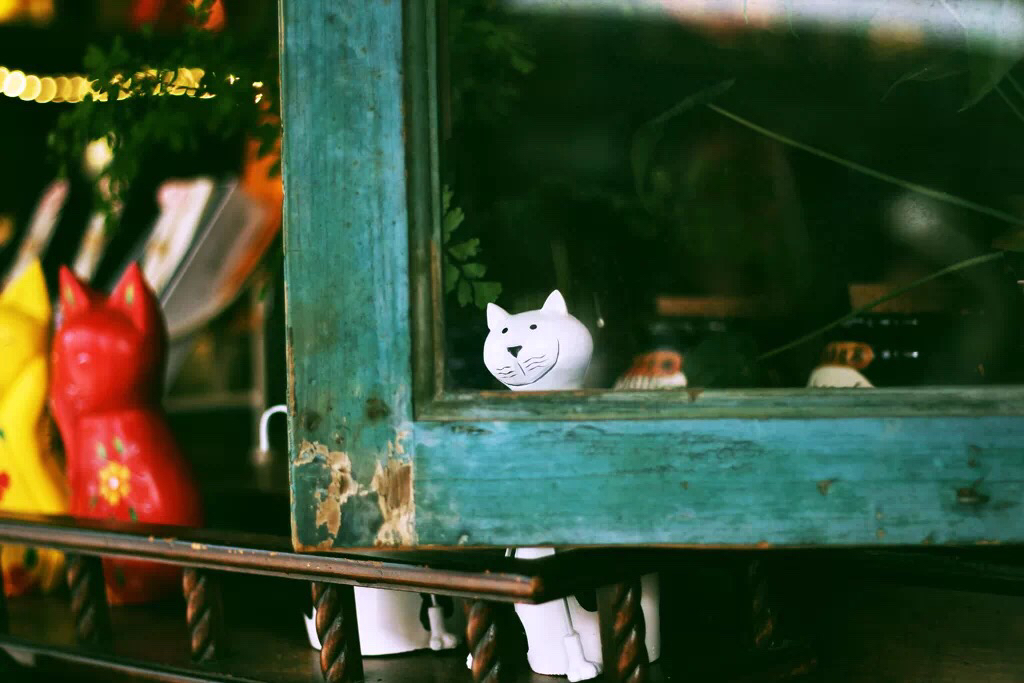 这个夏天总要来一趟厦门吧,这个夏天一定要去一次厦门