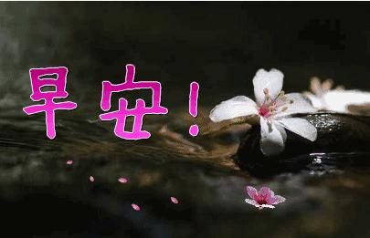 早上好最美的祝福送给你短句子,早上好的温馨祝福送给你