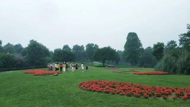 开奖｜林盘里、绿道上、花海间！20张石象湖门票花落谁家
