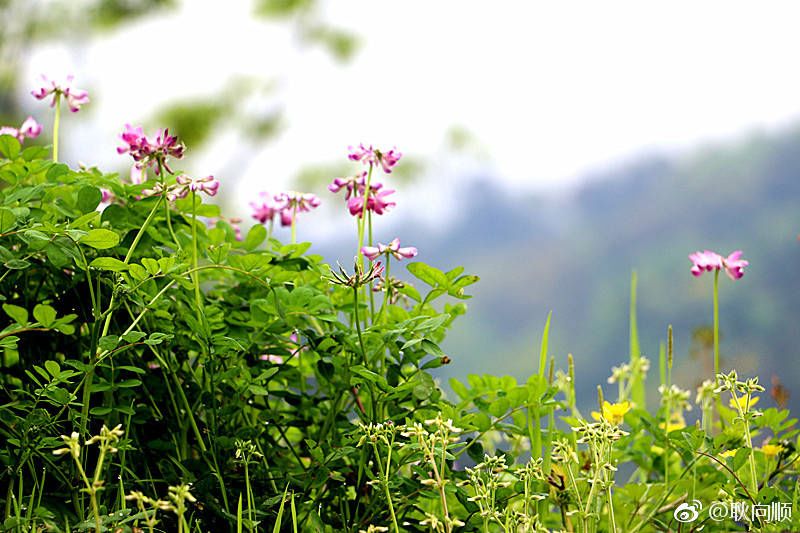 草根公益自媒体怎么做,自媒体做公益怎么做