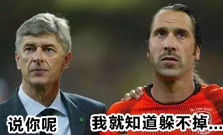 三狮和三猫谁厉害,英格兰足球三狮军团三喵