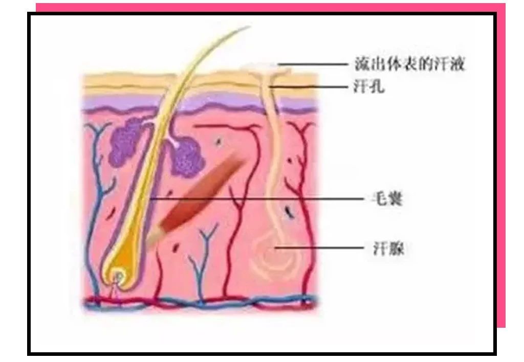 常见脱毛方法大盘点,10分钟教你脱毛小技巧