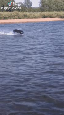 推荐抖音最火合集,抖音干货排行榜全国