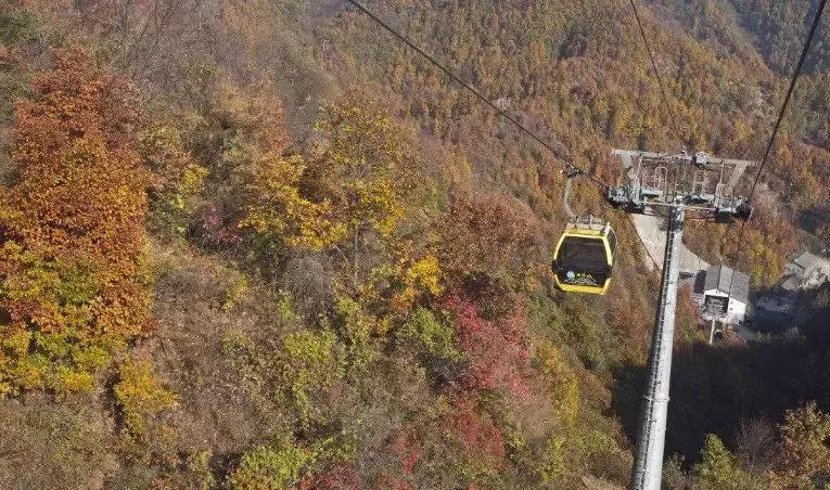 免费音乐节郑州,酒吧音乐节郑州