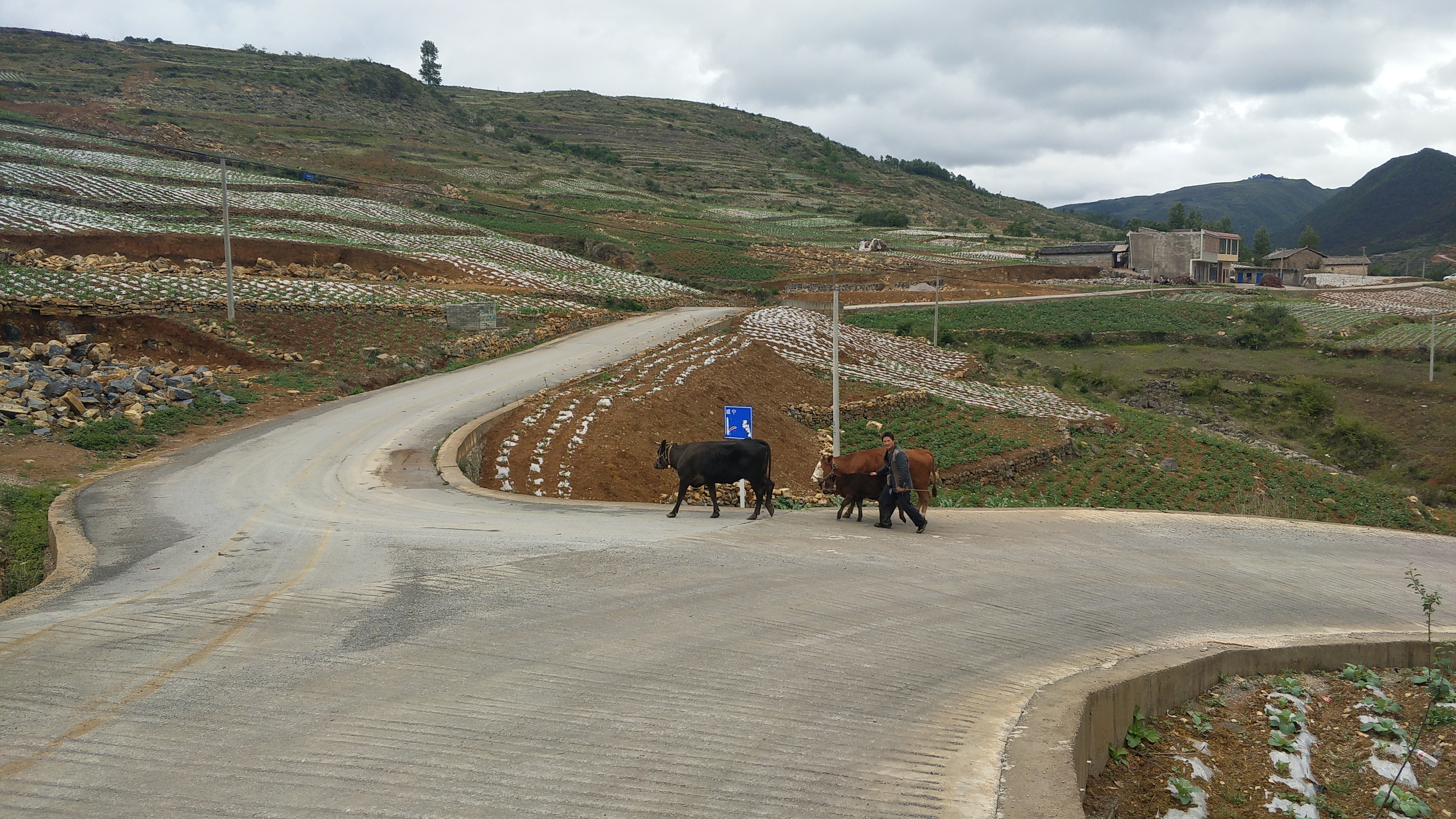 骑行进藏第51天,骑行第49天到拉萨
