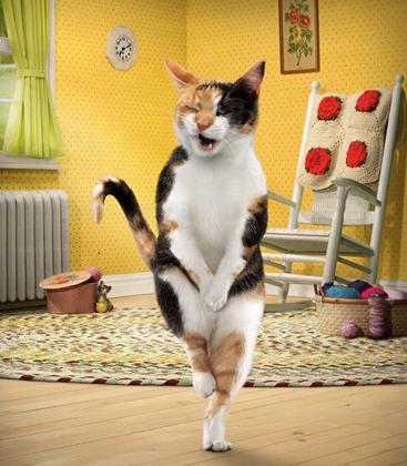 长期憋尿对身体的危害,长期憋尿对身体有什么危害呢