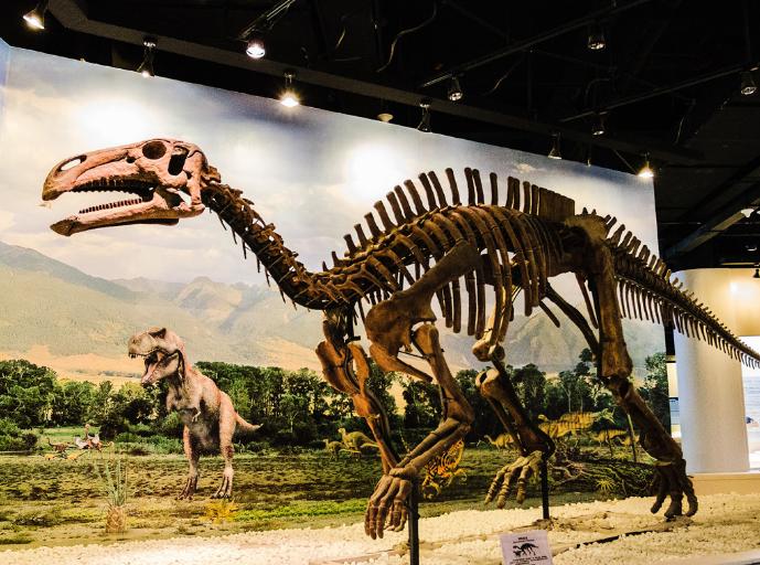 沈阳九一八历史博物馆门票多少钱,沈阳适合带孩子去玩的博物馆