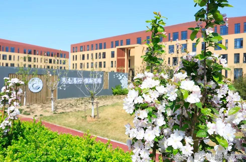 你好我叫日语翻译,你好我叫日语版