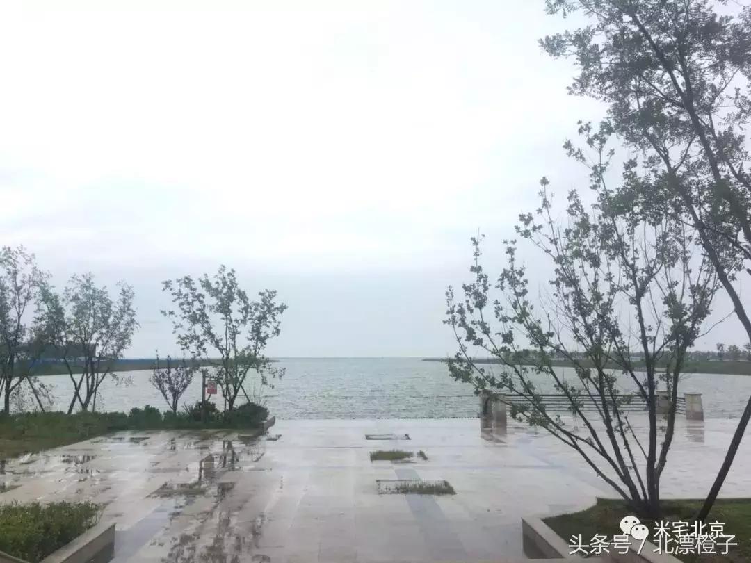 团购实探,团泊新城值得买吗