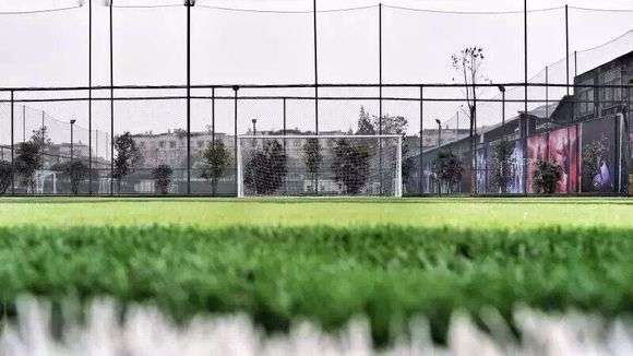 五人制室内足球世界杯,五人制足球世界杯比赛场地