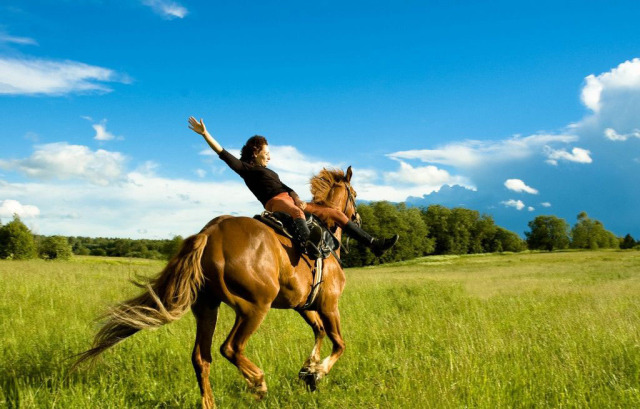 夏天了来呼伦贝尔旅游吧,暑假一起去新疆吧