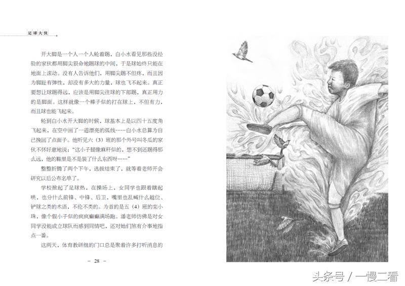 足球书籍20册,足球书籍阅读