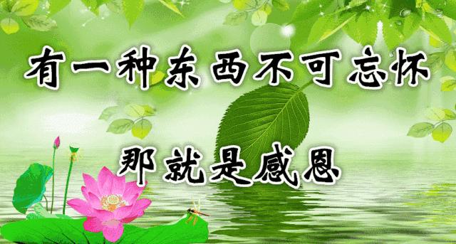 14张会动的照片,会动的照片大全大图