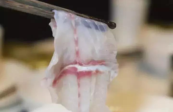 福州又浪漫又好吃的餐厅,福州必吃的100家餐厅