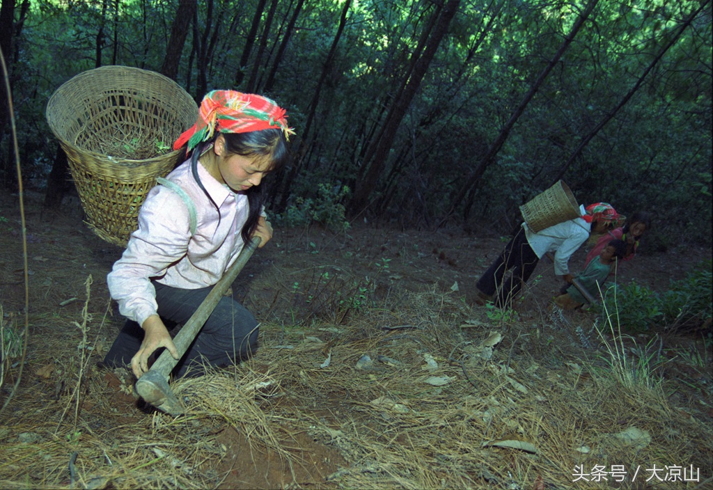 相机记录德昌端午节19年传统端午在大凉山非常火爆今年县政府主办值得期待