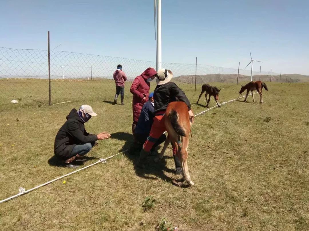 马妈妈再给我一次免疫力
