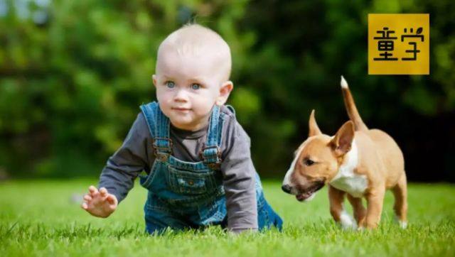 宝宝爬的时间长好吗,爬得少孩子智商低吗