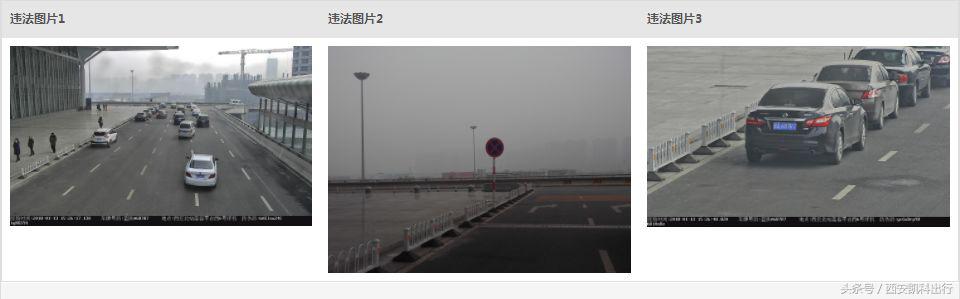 晕｜咱公司哪辆车半年违章13次？