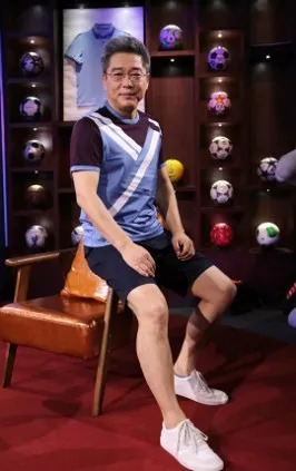 与刘建宏趣看世界杯,刘建宏看世界杯