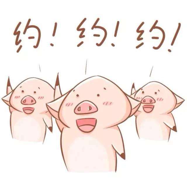 去哪里看球比较好,去哪看球最好