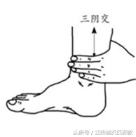 一撮六月“神仙草”,助眠补肾防蚊咬!只花几块钱,整个夏天没病扰