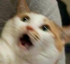 再看一遍30年前的《足球小将》，你会发现多佩服当年的智商！