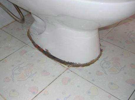 卫生间一到夏季就反臭味原因,夏天卫生间臭味难闻有什么小妙招