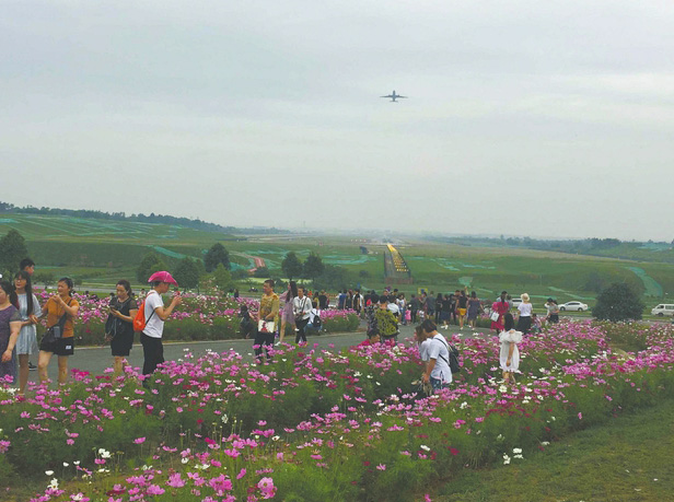 萌哭熊猫,萌哭2017新生大熊猫宝宝齐亮