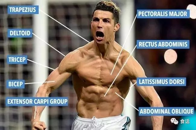 世界杯各球队远征必备美食盘点,舌尖上的世界杯美食攻略