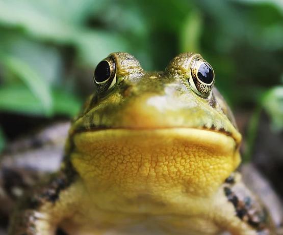 写作基础很差怎么办,写作基础太差怎么办