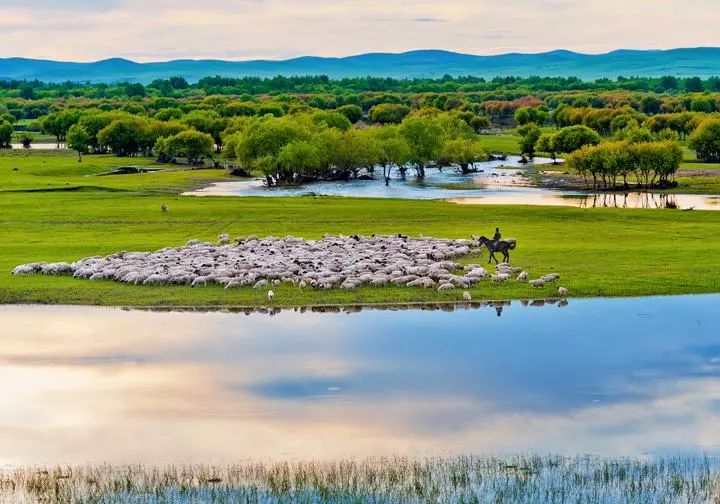 12月份出国亲子游,出国亲子游哪些国家合适