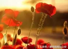 他们认为*品毒**不会上瘾、可以“提神”、“减肥”……这几个真实故事告诉我们——了解它，远离它！