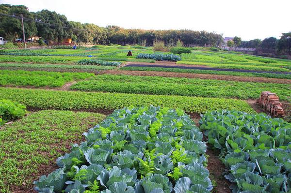 农村自留地被征收如何补偿,农村宅基地被征用后还有补偿吗