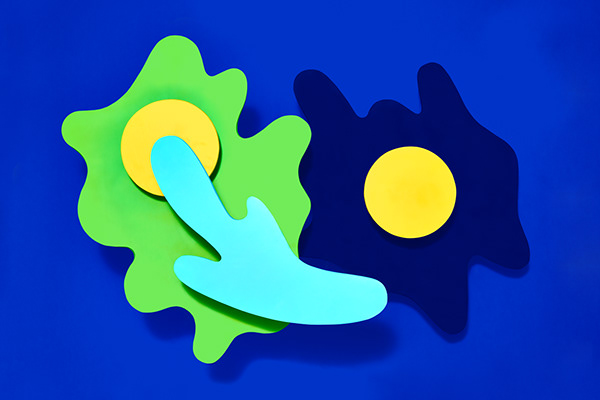 LetaSobierajski——GooglePixel2