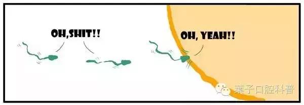 儿童治疗牙齿科普动画,孩子牙齿成长全过程