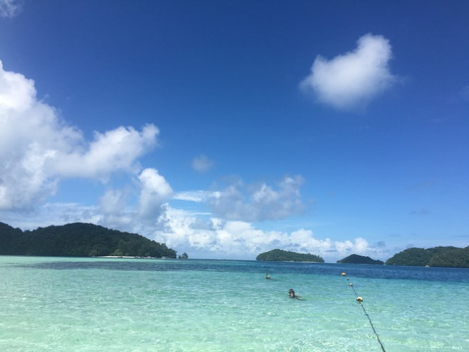 帕劳海底之旅,帕劳的海底