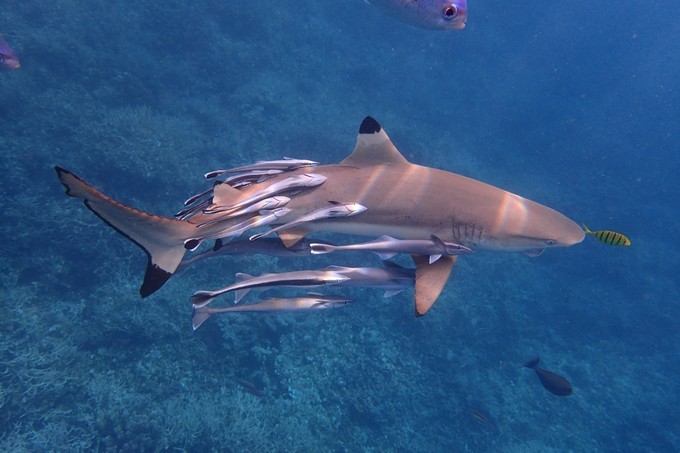 端午来这个绝美海岛,端午海岛游