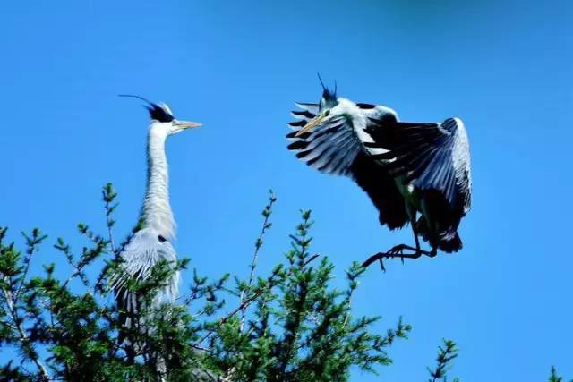 端午去哪玩,端午去哪玩闯关
