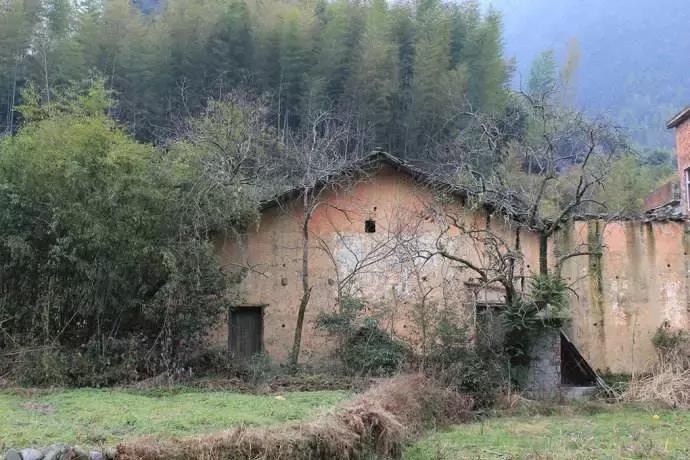 一日不见如隔三秋下一句什么,一日不见如隔三秋用古诗怎么说