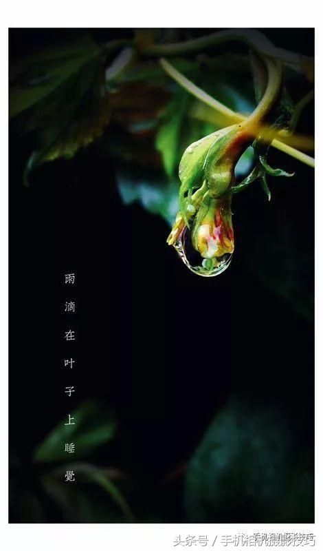 怎么学会给图片起名字呢,如何给照片取名字呢