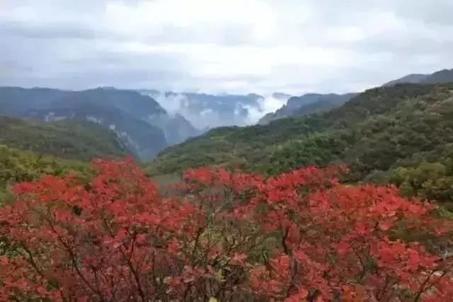 焦作世界杯足球,河南省运动会焦作代表团