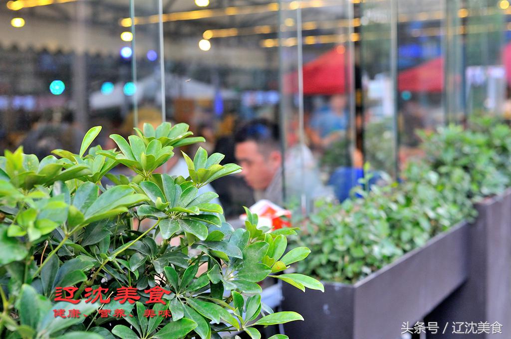 世界杯开幕球迷狂欢,世界杯预选赛沈阳足球现场球迷