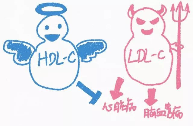 一天最多可以吃几个蛋,每天最多可以吃几个蛋