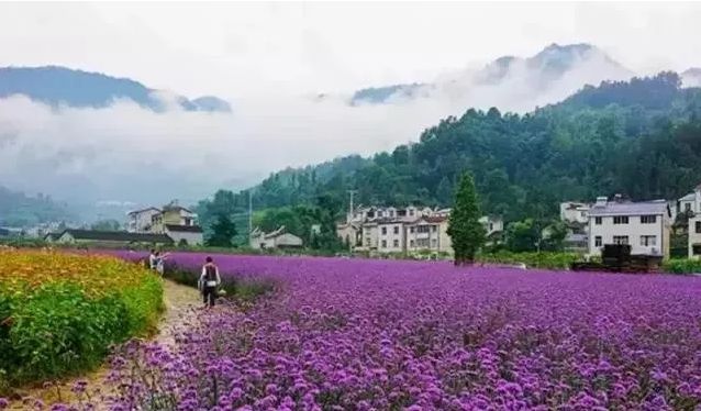 父亲节的特别旅行,父亲节带父亲一起出游