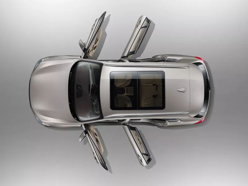 绿茵上的绿色生活，之诺申花激情足球夜开启球迷狂欢季