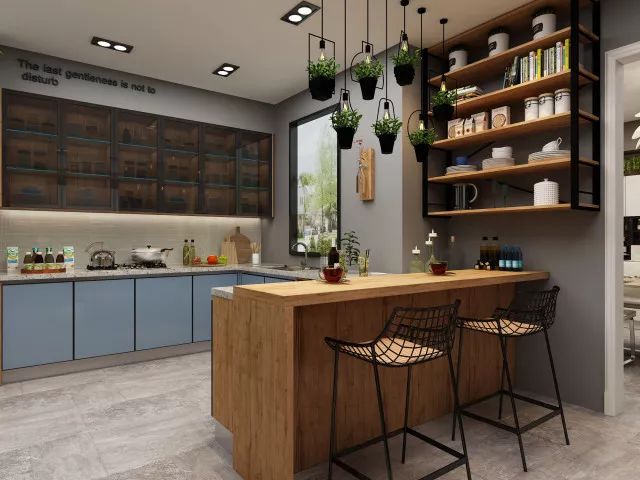 皮阿诺橱柜和帝森橱柜,德国帝森橱柜阳江