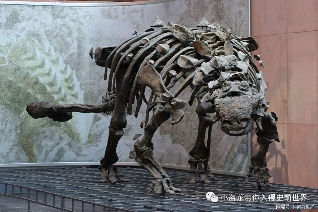 侏罗纪世界2一口气看完解说,《侏罗纪世界2》所有恐龙的名字